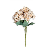 House Of Anantaa Flower Peach Hydrangea Flower (Peach)