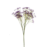 House Of Anantaa Flower Purple Zipso Flower - Purple