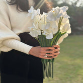 House Of Anantaa Flower White Orchid - White