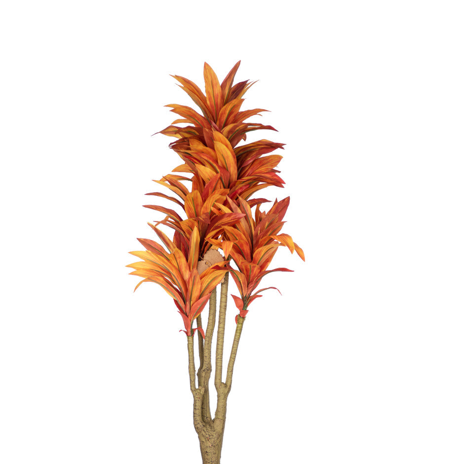 Dracaena Flower (Burnt Orange)