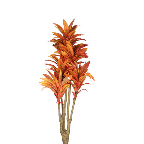 Dracaena Flower (Burnt Orange)