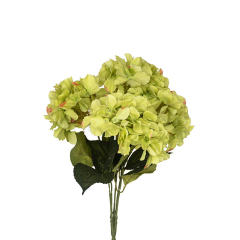 Hydrangea Flower (Green)