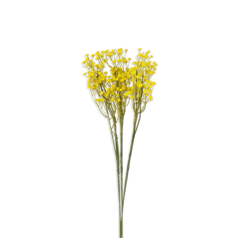 Zipso Flower - Yellow