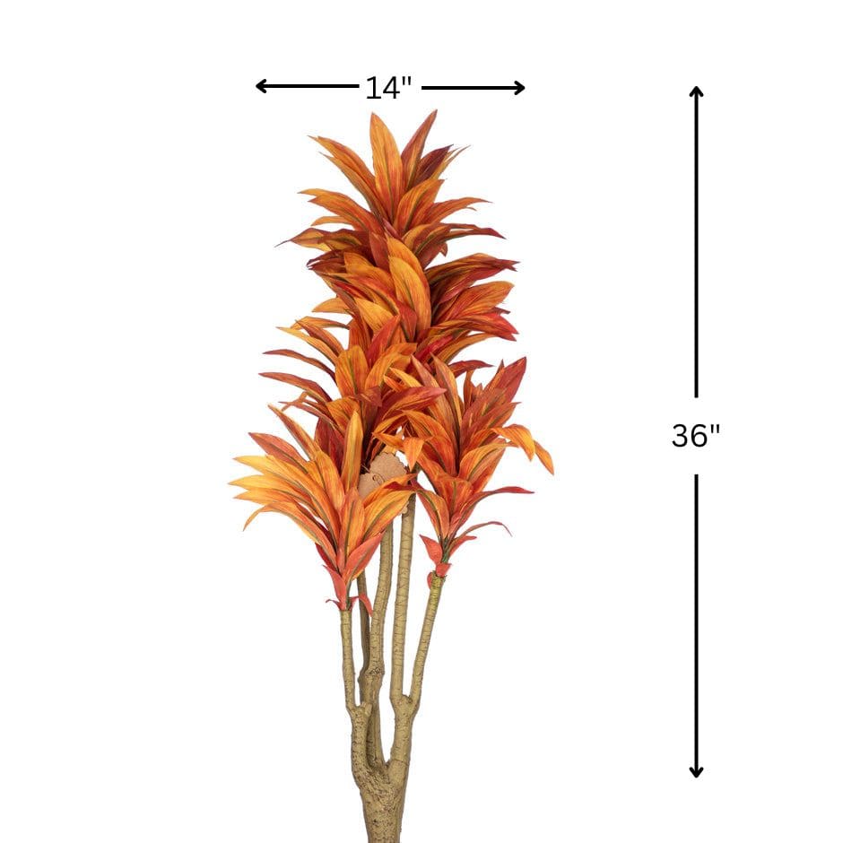 House Of Anantaa Flower Burnt Orange Dracaena Flower (Burnt Orange)