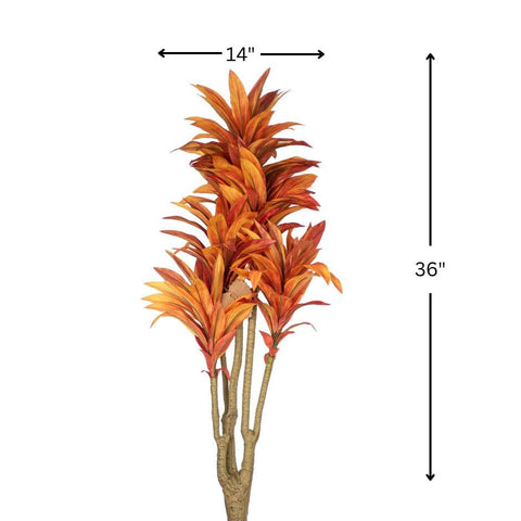 House Of Anantaa Flower Burnt Orange Dracaena Flower (Burnt Orange)