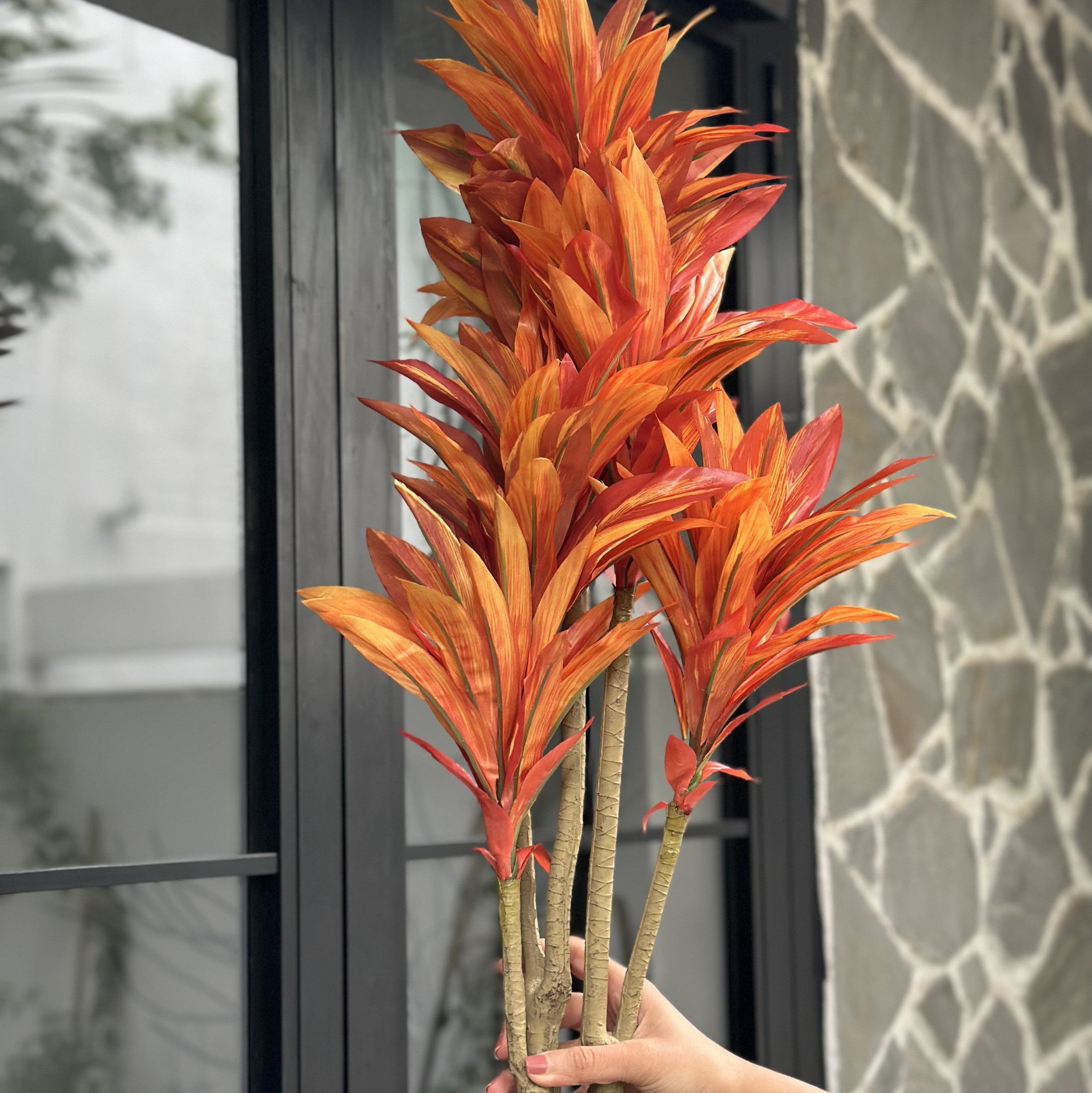 House Of Anantaa Flower Burnt Orange Dracaena Flower (Burnt Orange)