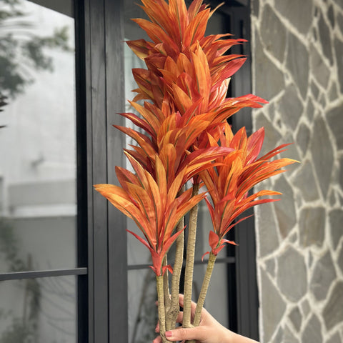 House Of Anantaa Flower Burnt Orange Dracaena Flower (Burnt Orange)