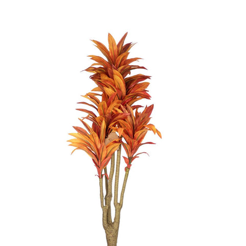 House Of Anantaa Flower Burnt Orange Dracaena Flower (Burnt Orange)