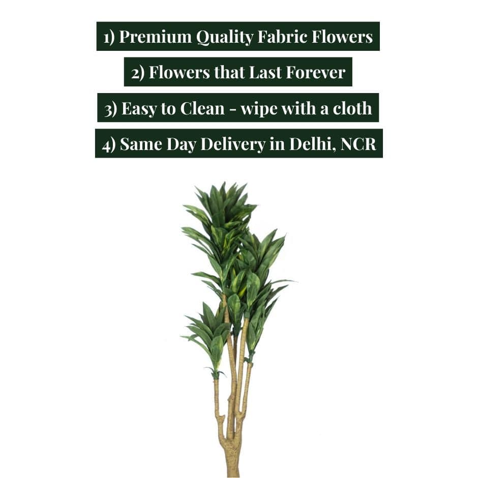 House Of Anantaa Flower Green Dracaena Flower (Green)