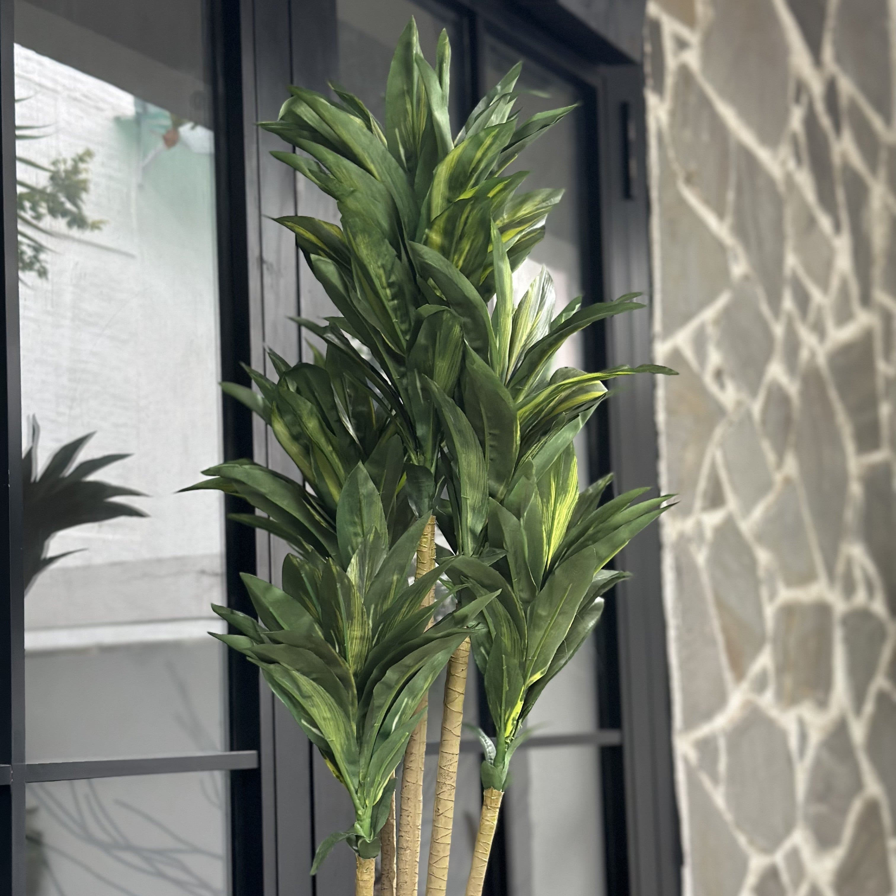 House Of Anantaa Flower Green Dracaena Flower (Green)