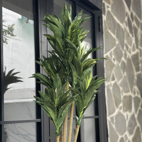 House Of Anantaa Flower Green Dracaena Flower (Green)