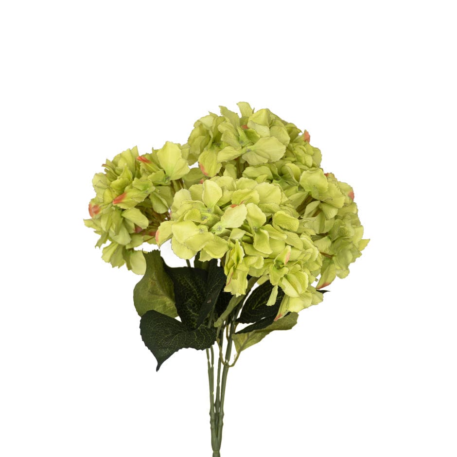 House Of Anantaa Flower Green Hydrangea Flower (Green)