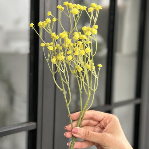 House Of Anantaa Flower Green Zipso Flower - Yellow