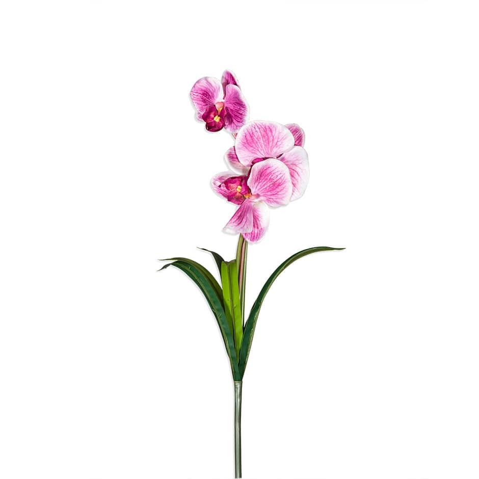 House Of Anantaa Flower Pink Orchid - Pink
