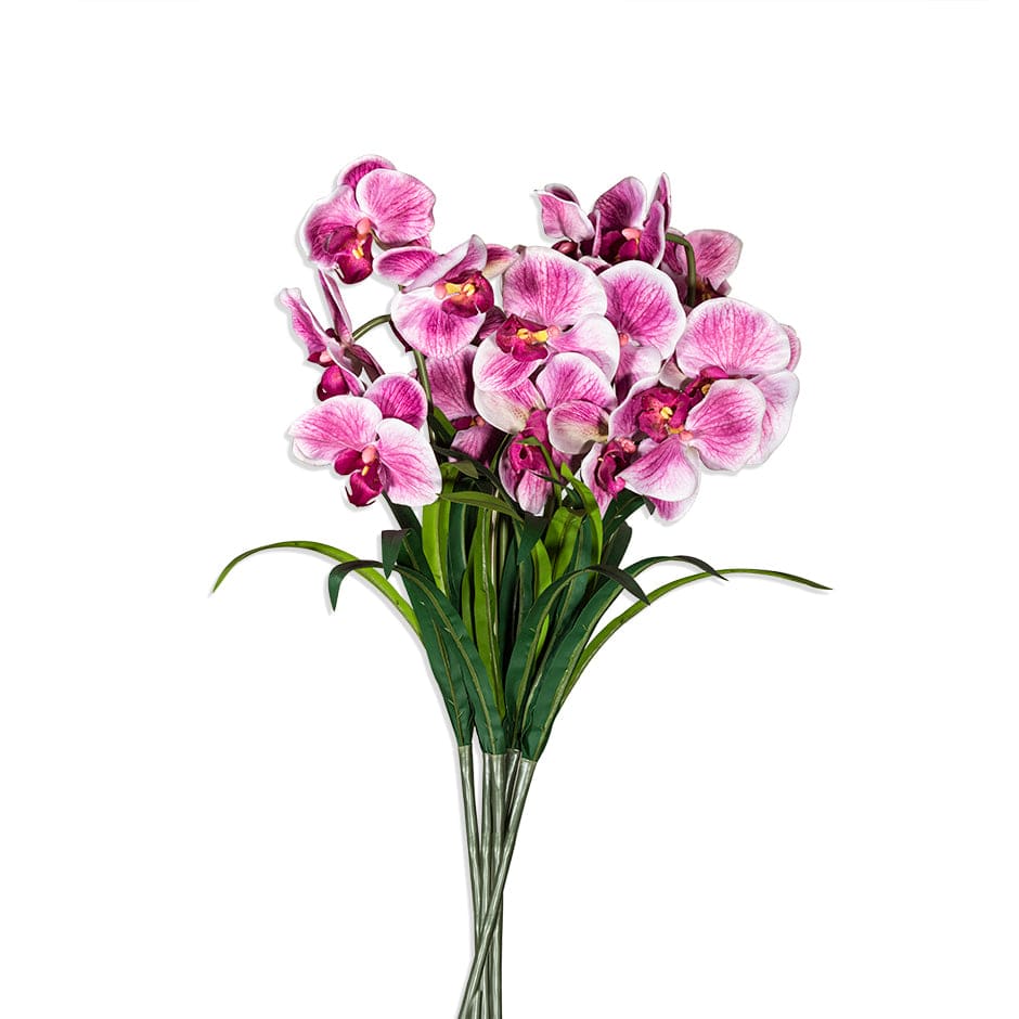 House Of Anantaa Flower Pink Orchid - Pink