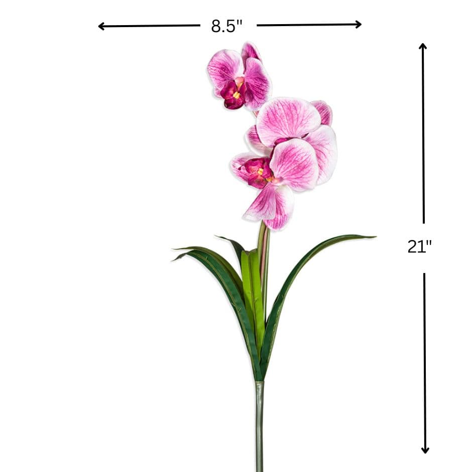 House Of Anantaa Flower Pink Orchid - Pink