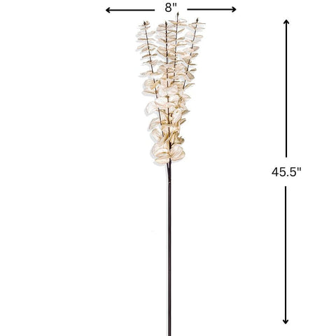 House Of Anantaa Flower White Eucalyptus Flower (white)