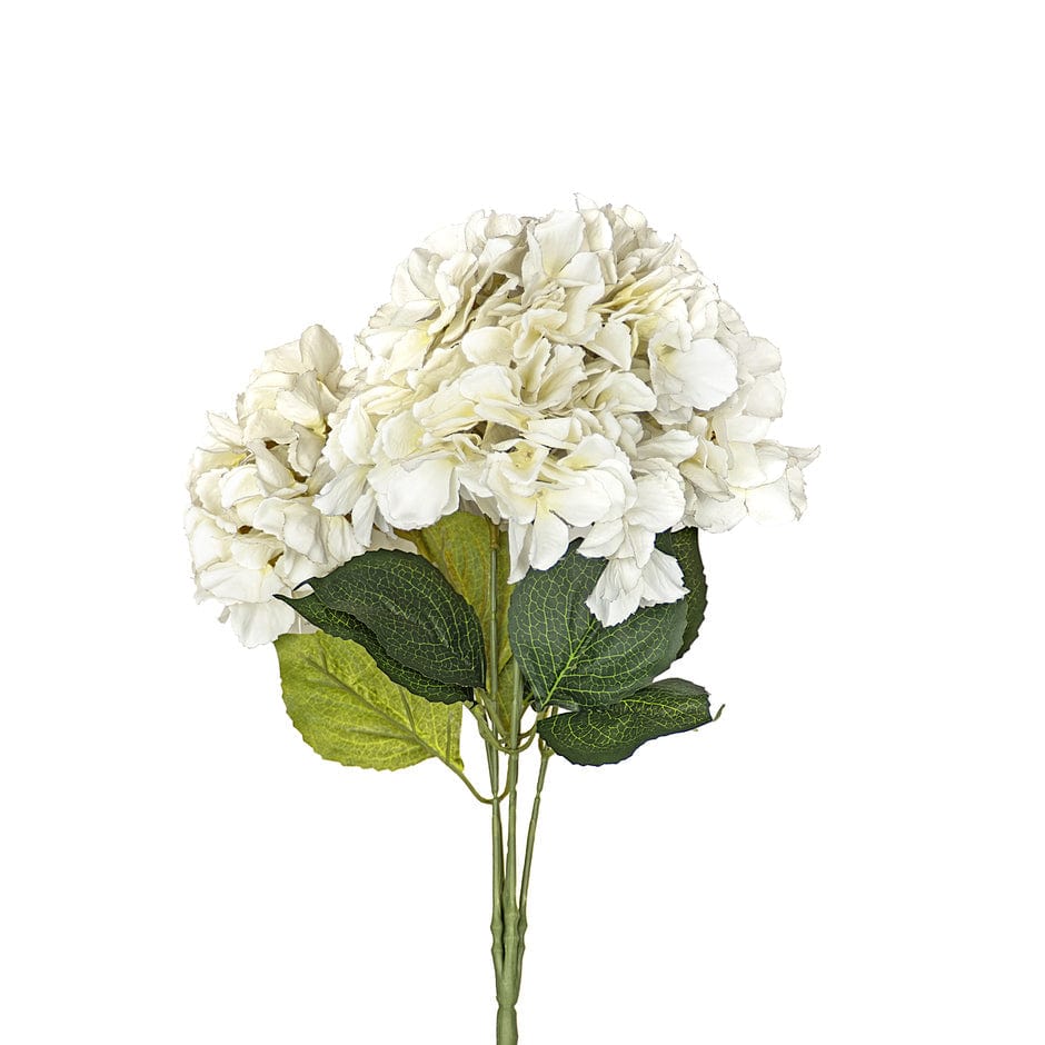 House Of Anantaa Flower White Hydrangea Flower (White)