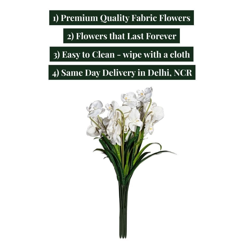 House Of Anantaa Flower White Orchid - White