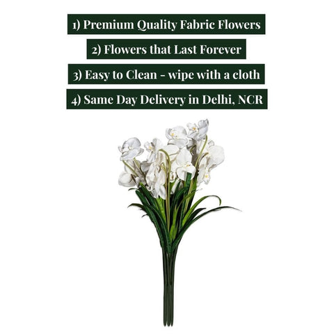 House Of Anantaa Flower White Orchid - White