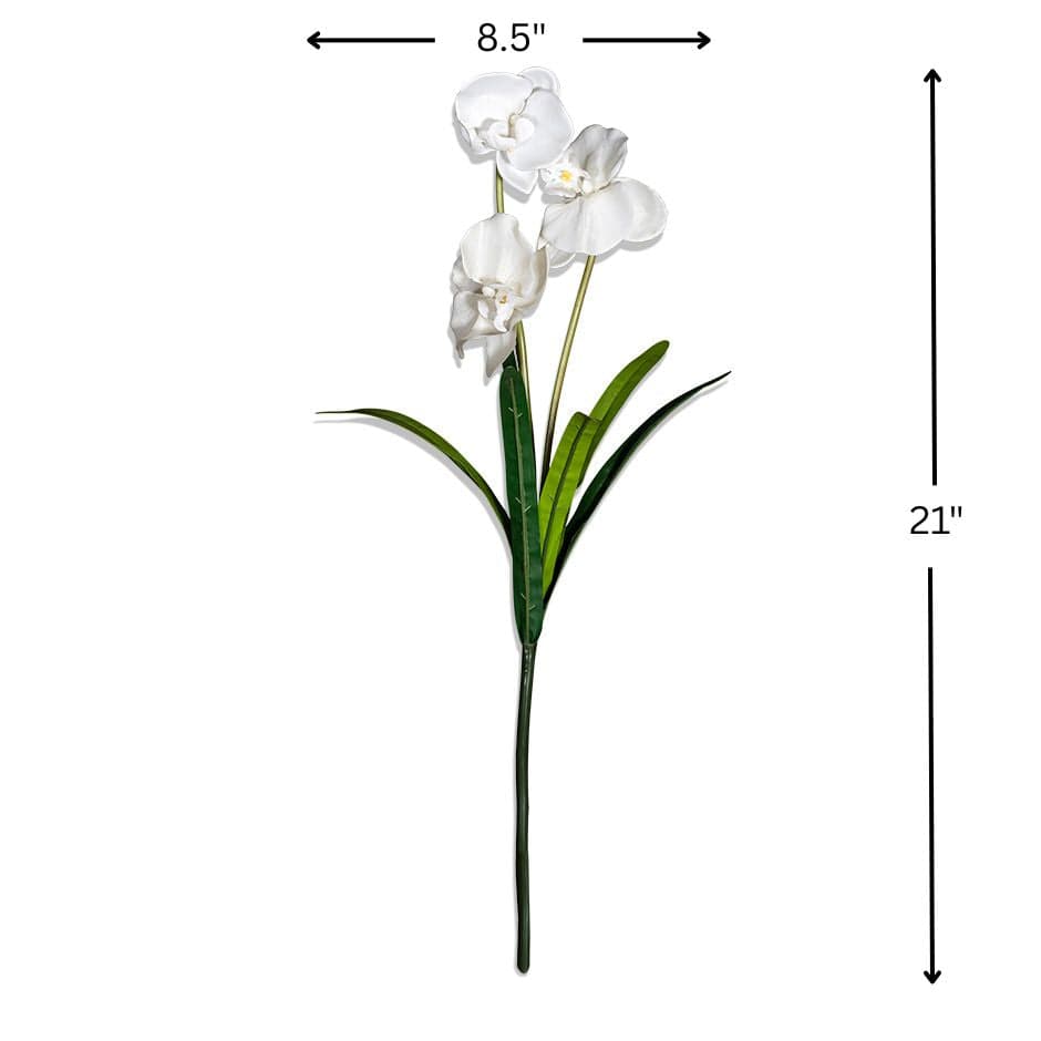 House Of Anantaa Flower White Orchid - White