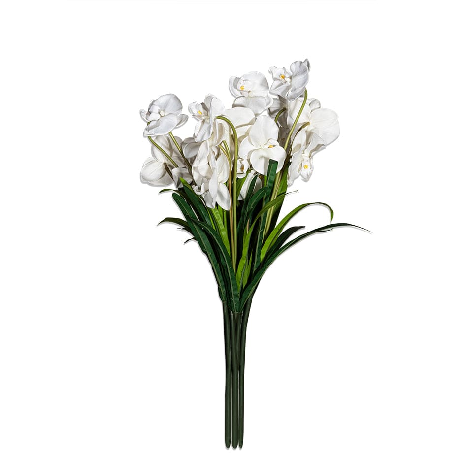 House Of Anantaa Flower White Orchid - White