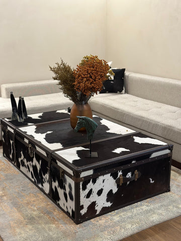 House Of Anantaa Furniture Black/White Gstaad Trunk Table